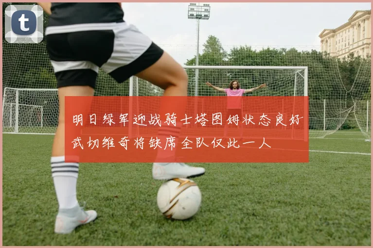 明日绿军迎战骑士塔图姆状态良好武切维奇将缺席全队仅此一人
