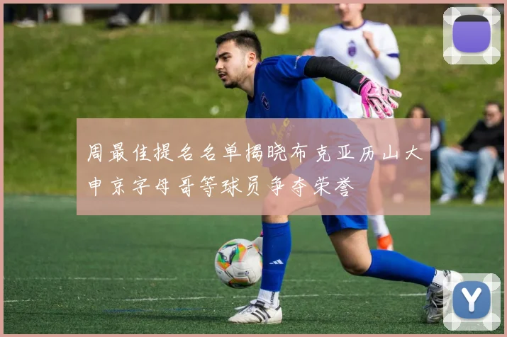周最佳提名名单揭晓布克亚历山大申京字母哥等球员争夺荣誉